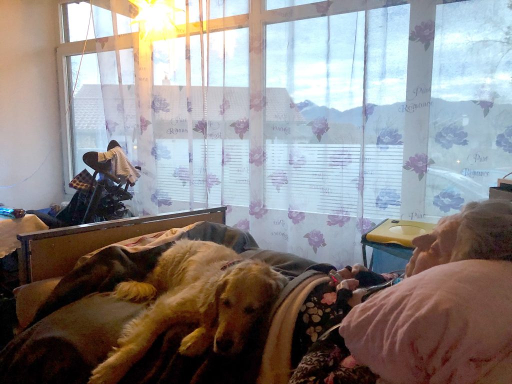 Hund Timber zu Besuch im Intensivpflegeheim - Timber liegt auf dem Bett