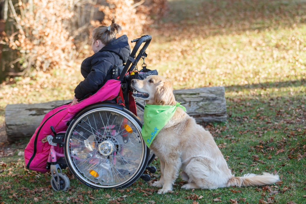 Hund Timber und Kind im Rollstuhl